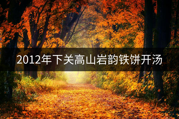 2012年下關(guān)高山巖韻鐵餅開湯