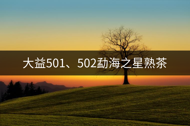 大益501、502勐海之星熟茶