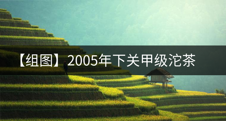 【組圖】2005年下關(guān)甲級沱茶開湯