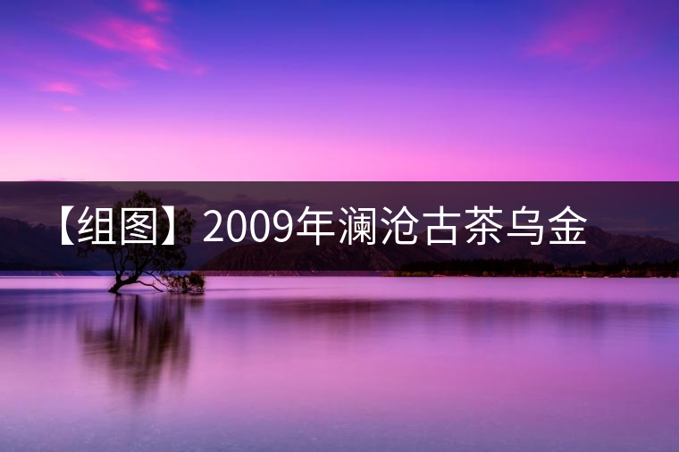 【組圖】2009年瀾滄古茶烏金熟磚開湯