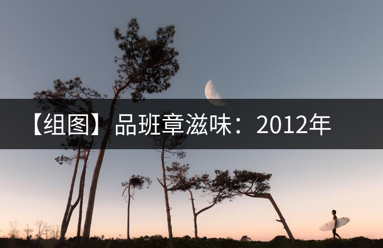 【組圖】品班章滋味:2012年陳升號銀班章開湯 【組圖】品班章滋味:2012年陳升號銀班章開湯