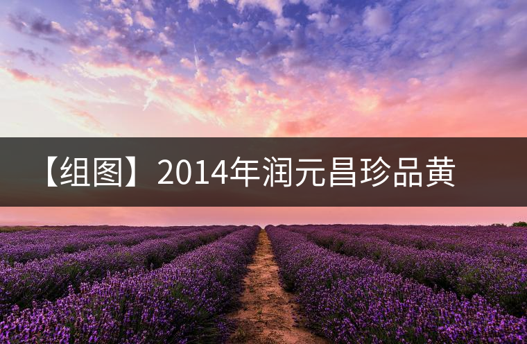 【組圖】2014年潤(rùn)元昌珍品黃印開湯