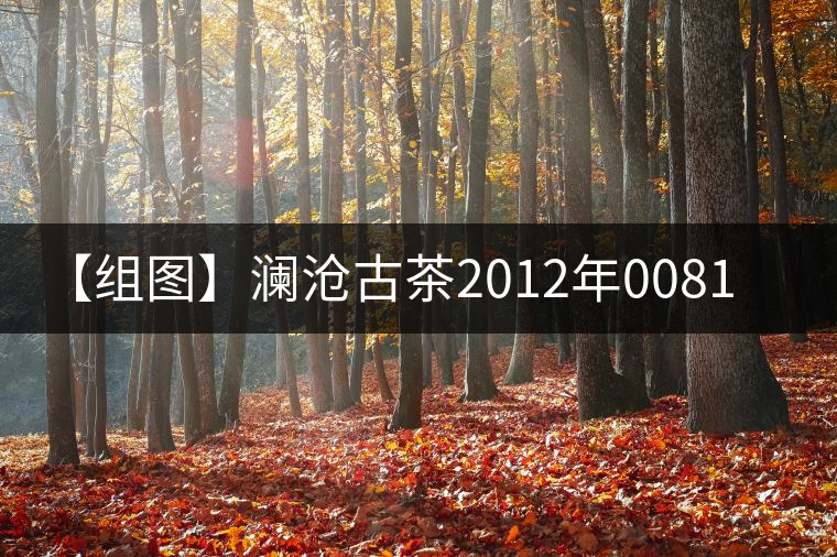 【組圖】瀾滄古茶2012年0081開湯 【組圖】瀾滄古茶2012年0081開湯