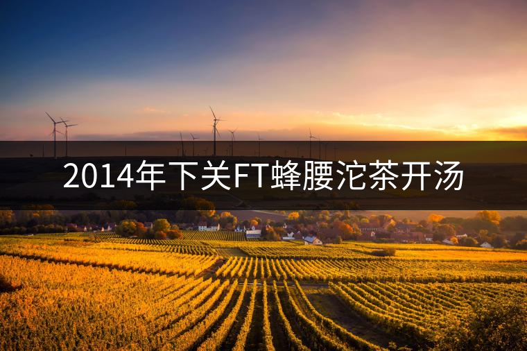 2014年下關FT蜂腰沱茶開湯