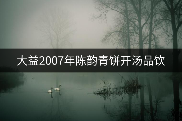 大益2007年陳韻青餅開(kāi)湯品飲 大益2007年陳韻青餅開(kāi)湯品飲
