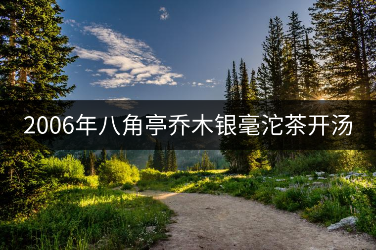 2006年八角亭喬木銀毫沱茶開湯