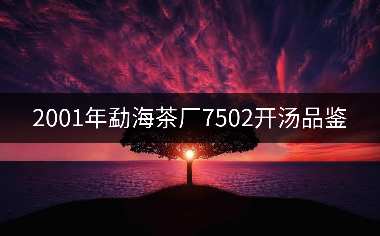 2001年勐海茶廠7502開湯品鑒 2001年勐海茶廠7502開湯品鑒