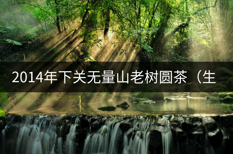 2014年下關(guān)無(wú)量山老樹圓茶（生茶）開湯