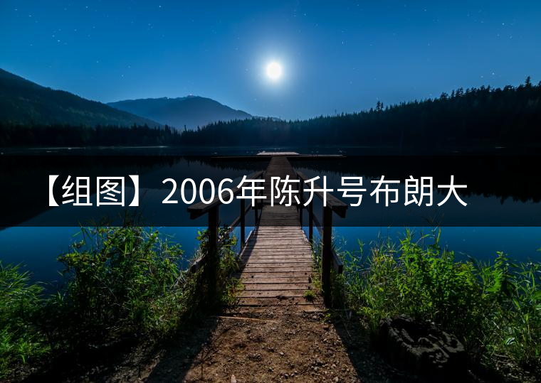 【組圖】2006年陳升號布朗大樹開湯 【組圖】2006年陳升號布朗大樹開湯