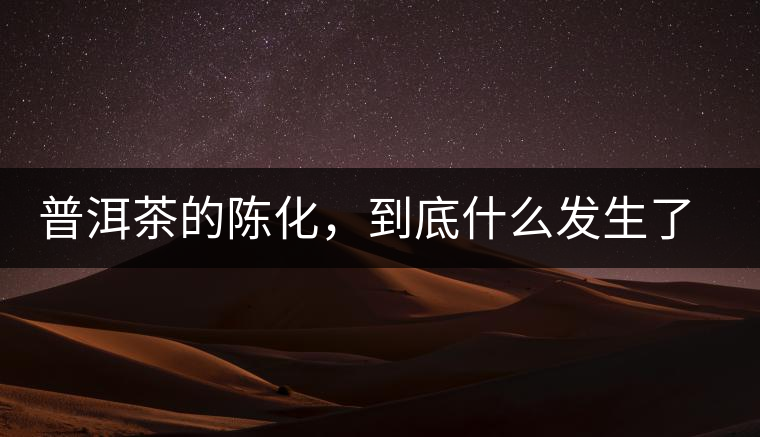 普洱茶的陳化，到底什么發(fā)生了哪些變化？