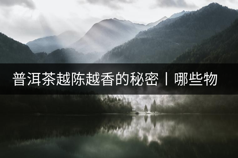 普洱茶越陳越香的秘密丨哪些物質(zhì)會(huì)發(fā)生變化呢? 普洱茶越陳越香的秘密丨哪些物質(zhì)會(huì)發(fā)生變化呢?