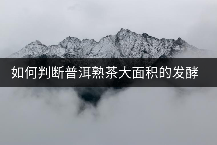 如何判斷普洱熟茶大面積的發(fā)酵過(guò)度？