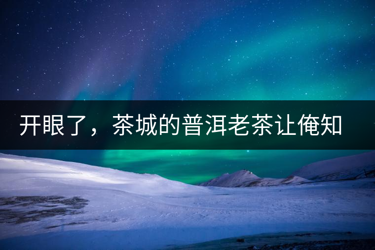 開眼了，茶城的普洱老茶讓俺知道了老茶樹