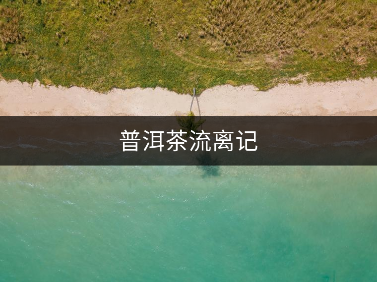 普洱茶流離記 普洱茶流離記