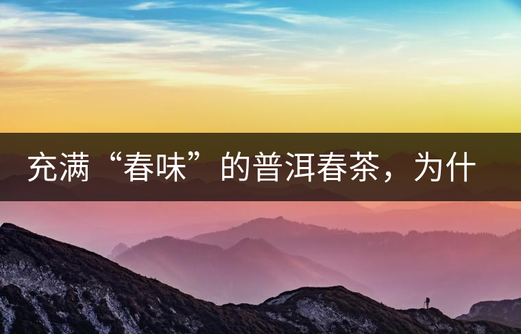 充滿“春味”的普洱春茶，為什么值得期待？