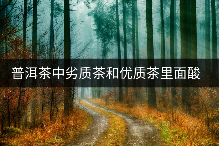 普洱茶中劣質茶和優(yōu)質茶里面酸味有什么區(qū)別