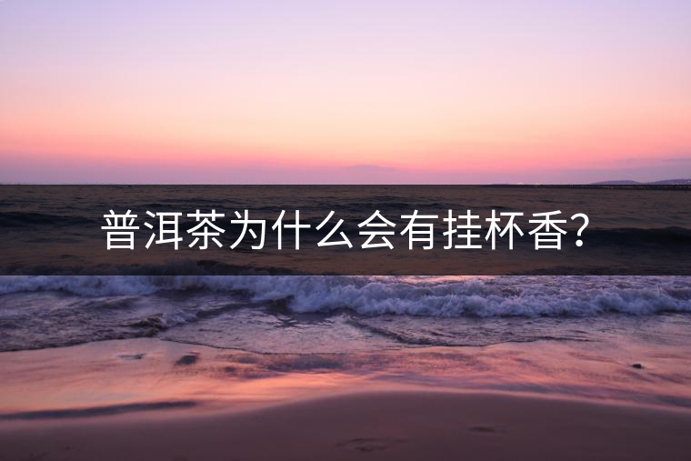 普洱茶為什么會有掛杯香？