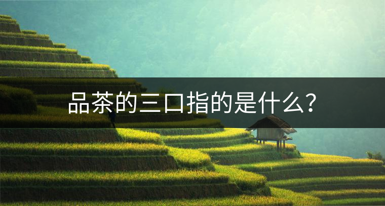 品茶的三口指的是什么？