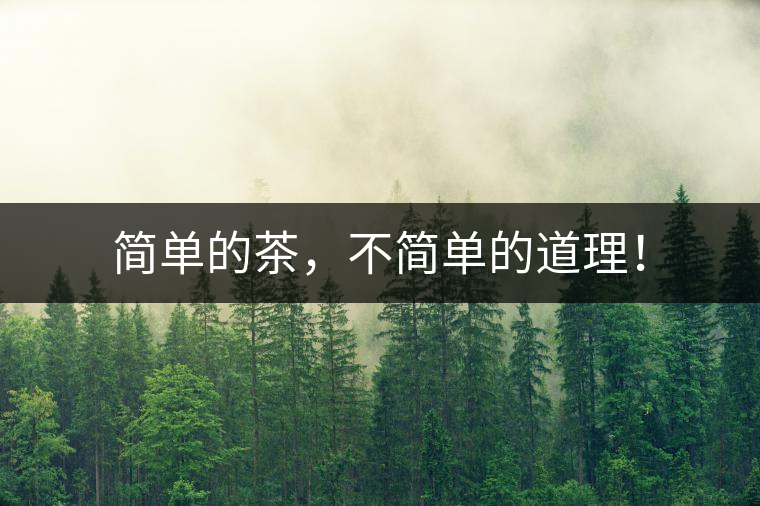 簡單的茶，不簡單的道理！