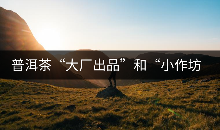 普洱茶“大廠出品”和“小作坊”，哪一個更值得購買？
