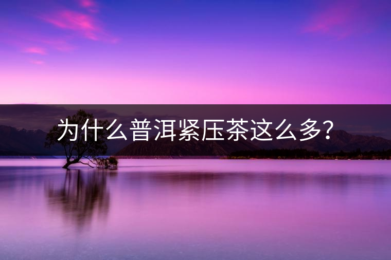 為什么普洱緊壓茶這么多？
