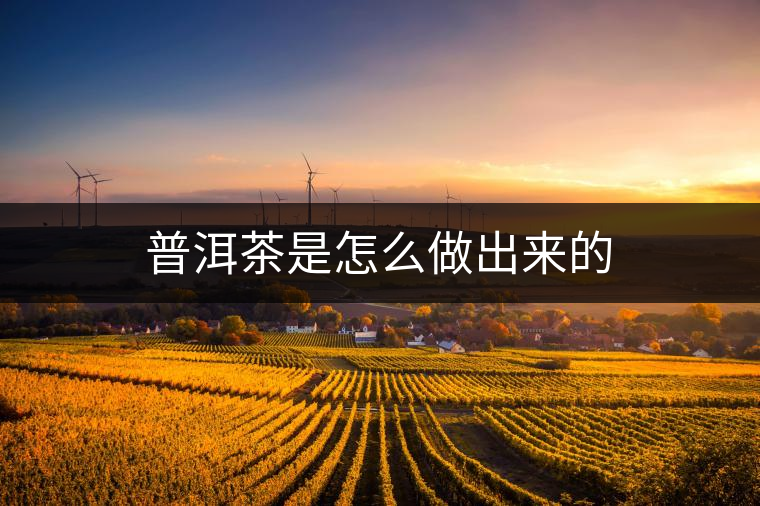 普洱茶是怎么做出來的 普洱茶是怎么做出來的