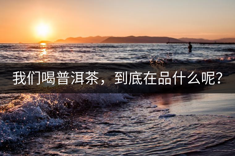 我們喝普洱茶，到底在品什么呢？