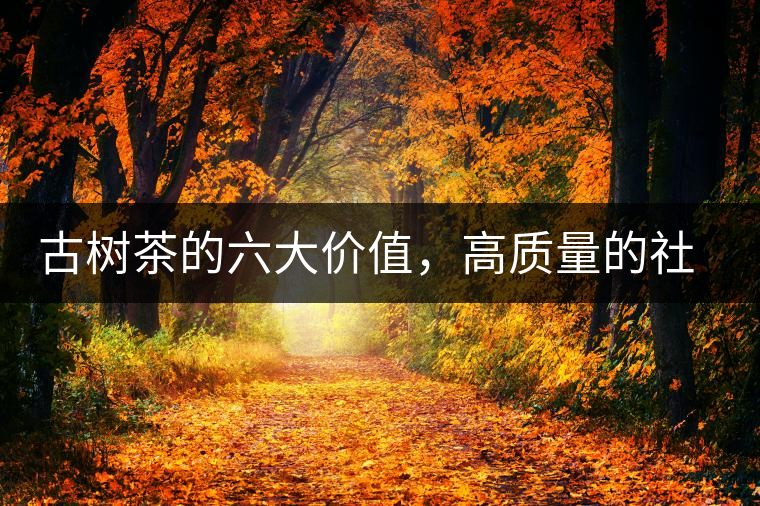 古樹茶的六大價值，高質(zhì)量的社交都離不開古樹茶