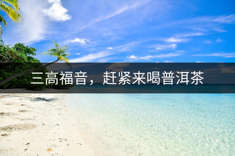 三高福音，趕緊來喝普洱茶