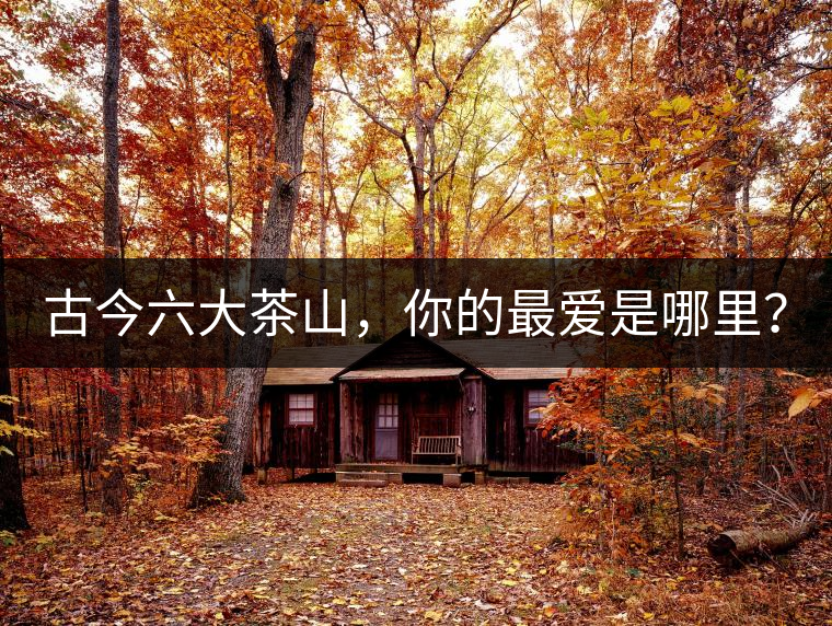 古今六大茶山，你的最愛是哪里？