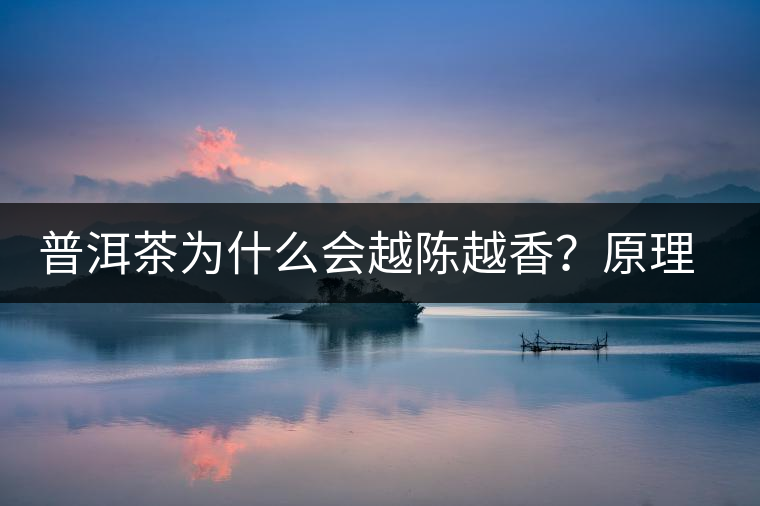 普洱茶為什么會越陳越香？原理是什么？