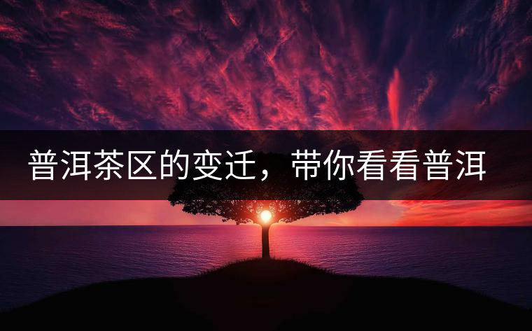 普洱茶區(qū)的變遷，帶你看看普洱茶地域分布