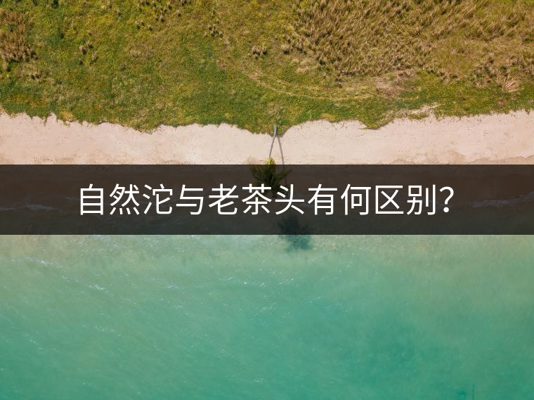 自然沱與老茶頭有何區(qū)別？