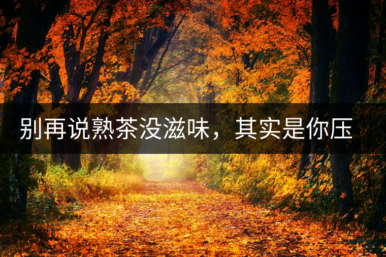 別再說熟茶沒滋味，其實(shí)是你壓根沒喝懂