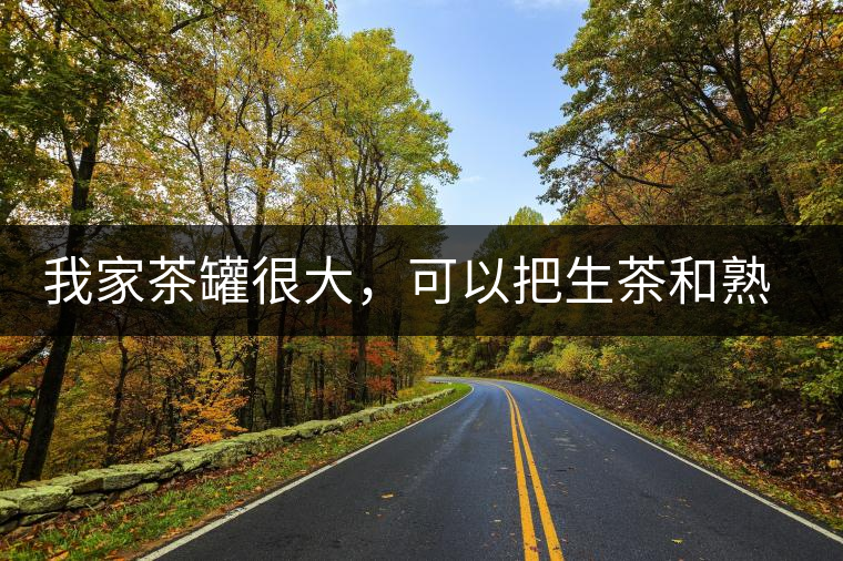 我家茶罐很大，可以把生茶和熟茶，放在一起儲(chǔ)存嗎？