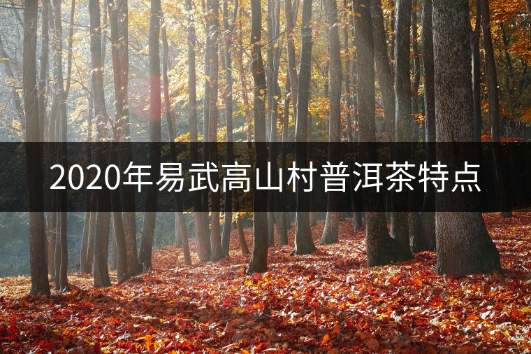 2020年易武高山村普洱茶特點