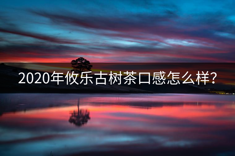 2020年攸樂(lè)古樹(shù)茶口感怎么樣？