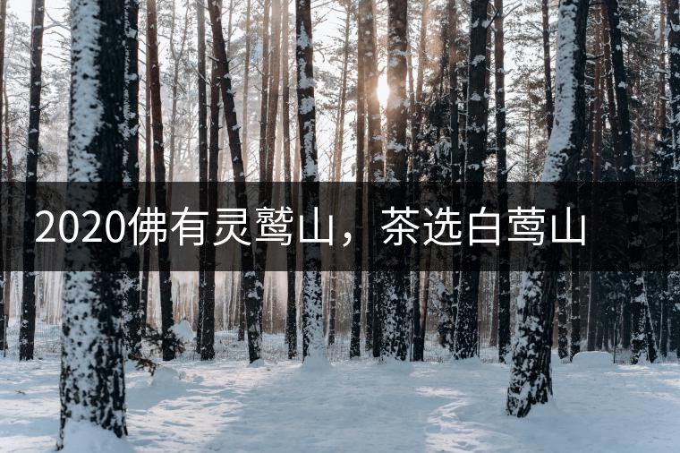 2020佛有靈鷲山,茶選白鶯山——白鶯山二嘎子茶 2020佛有靈鷲山,茶選白鶯山——白鶯山二嘎子茶
