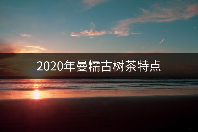 2020年曼糯古樹茶特點 2020年曼糯古樹茶特點