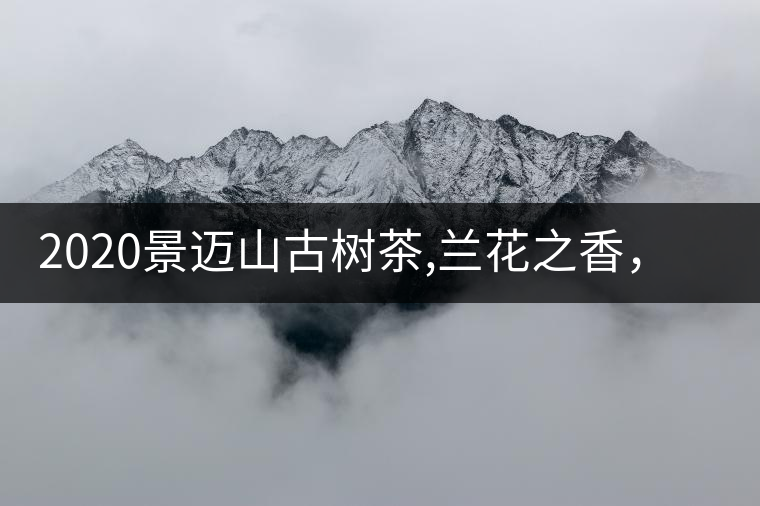 2020景邁山古樹茶,蘭花之香，自然之味