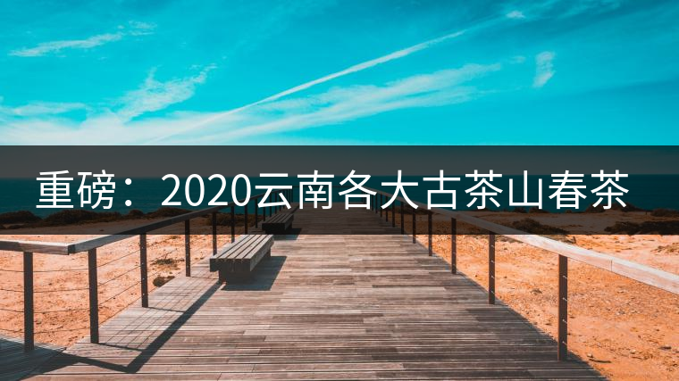 重磅：2020云南各大古茶山春茶價格發(fā)布