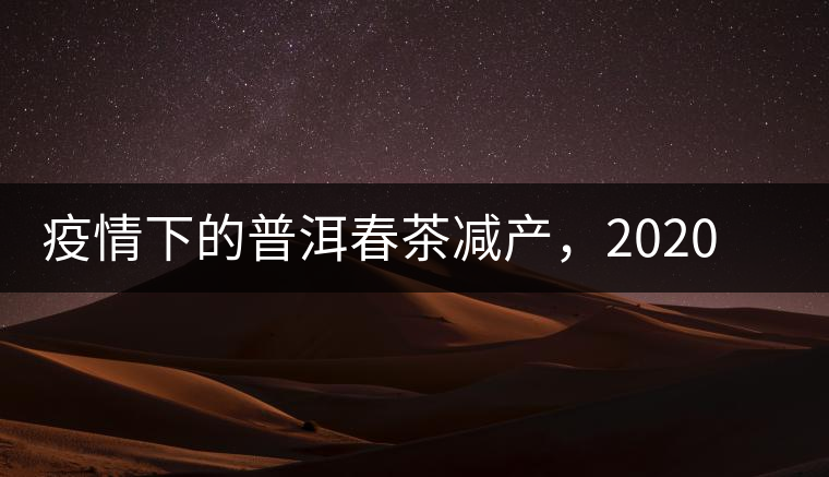 疫情下的普洱春茶減產(chǎn)，2020年價(jià)格“兩極分化”或成常態(tài)？