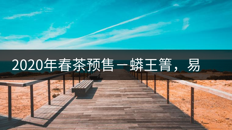 2020年春茶預(yù)售－蟒王箐，易武一個蟒蛇出沒的地方