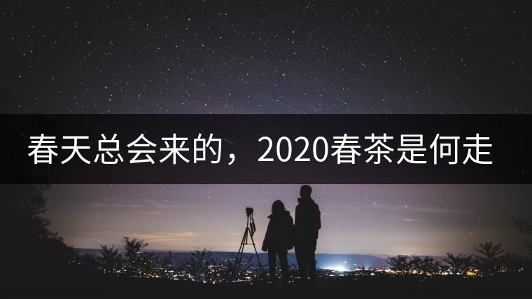 春天總會來的，2020春茶是何走勢？