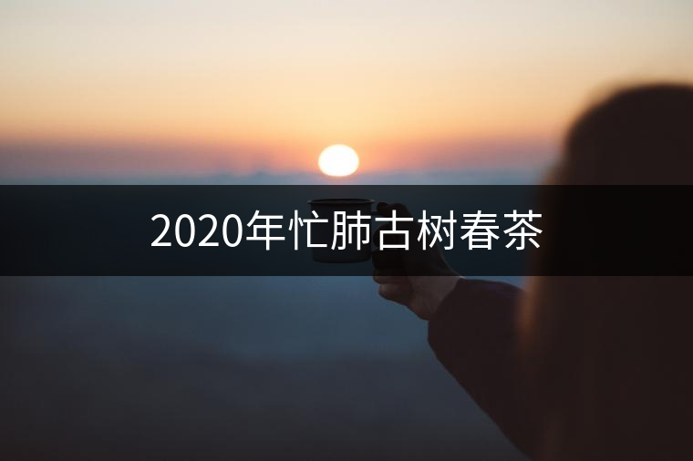 2020年忙肺古樹春茶