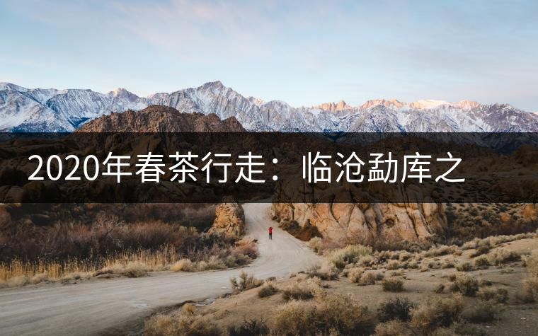 2020年春茶行走：臨滄勐庫之美，不只是冰島普洱茶香