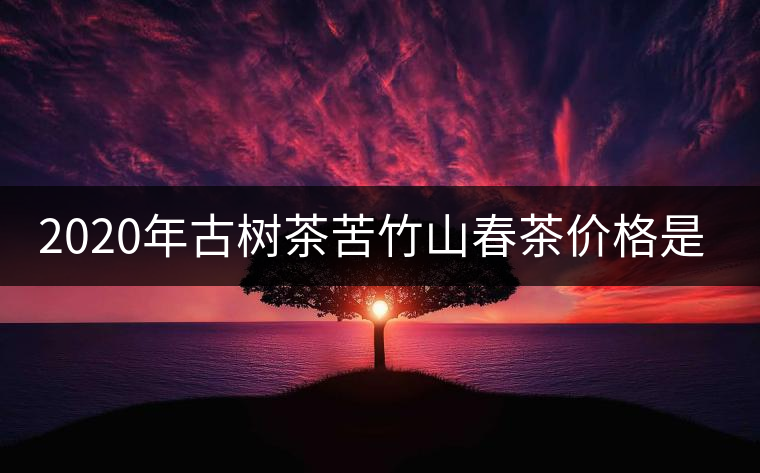 2020年古樹茶苦竹山春茶價(jià)格是多少？