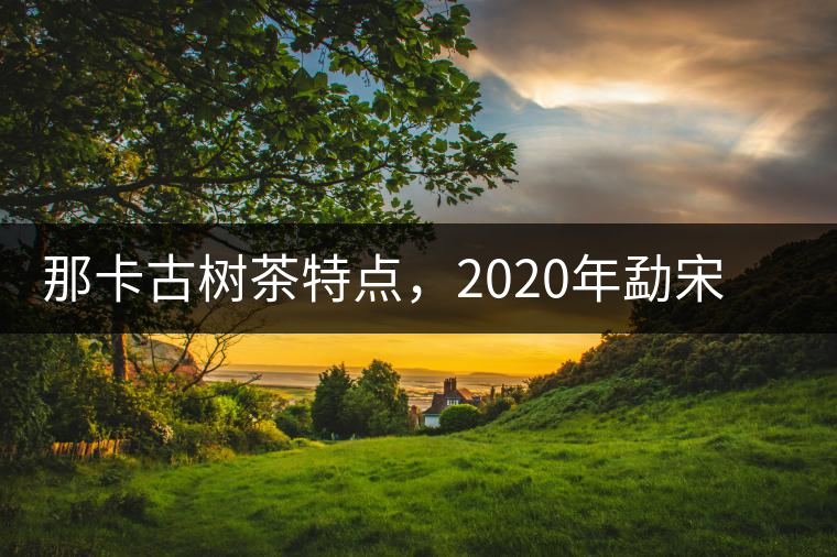 那卡古樹茶特點，2020年勐宋茶區(qū)保塘普洱茶口感