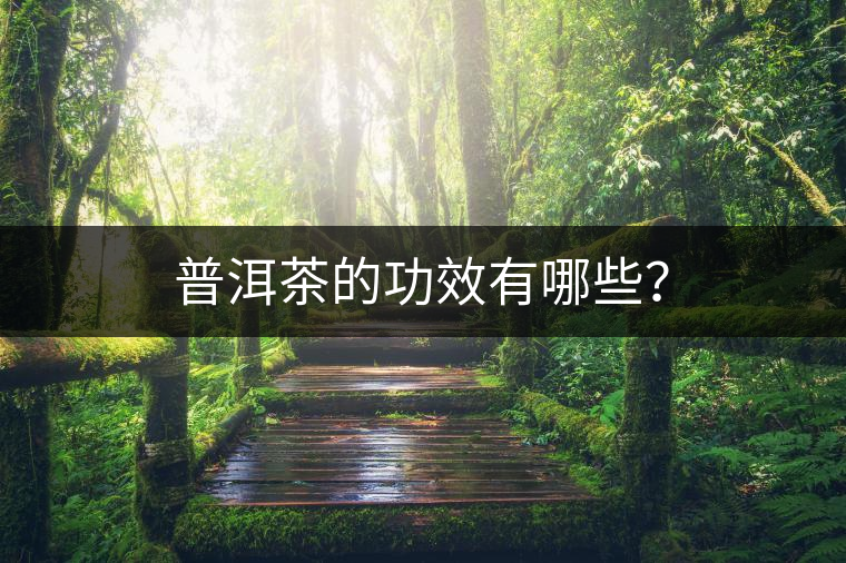 普洱茶的功效有哪些？