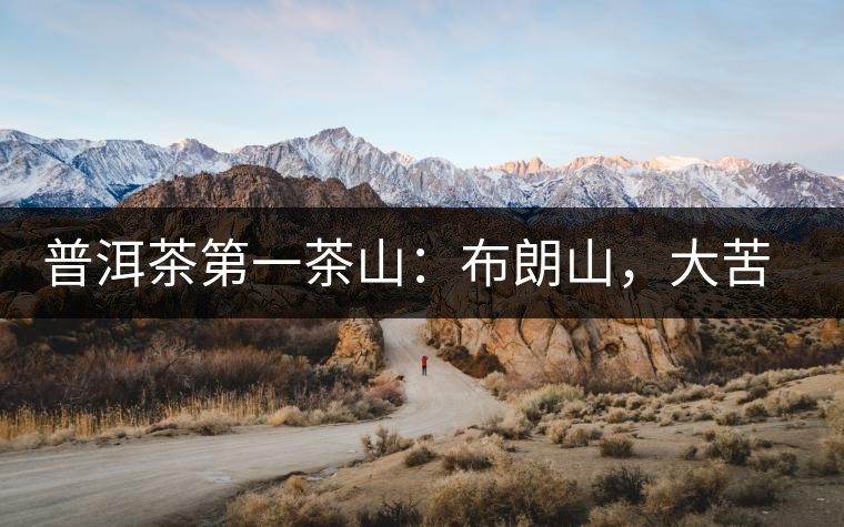 普洱茶第一茶山：布朗山，大苦大甘是它的魂